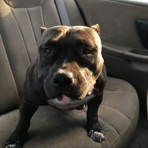 Meet your Posher, Dustin